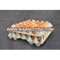 Disposable Paper Pulp Egg Tray Carton