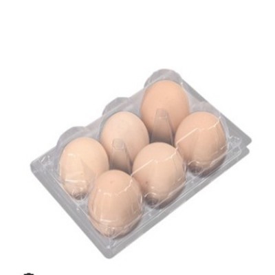 PET PVC disposable plastic packaging 18 12 holes egg roller cartons tray