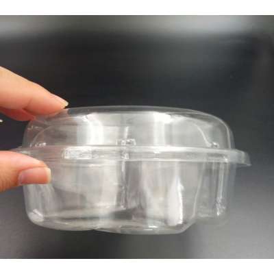 plastic round fruit container