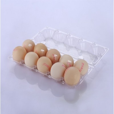 Disposable PET plastic food packaging container egg tray